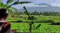Dempo