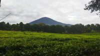 Dempo2