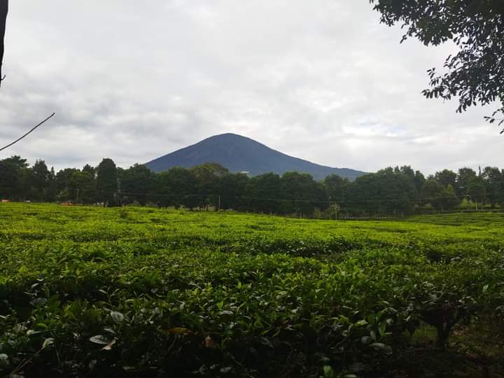 Dempo2