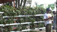 IMG-20220206-WA0019