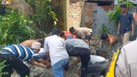 Kubur3