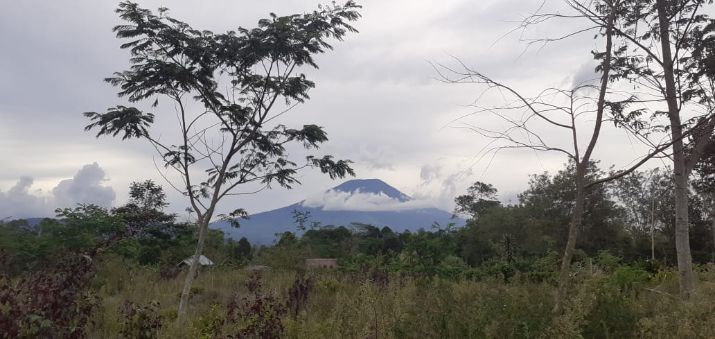 Dempo2