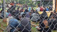 Polisi menangkan sejumlah mahasiswa Papua