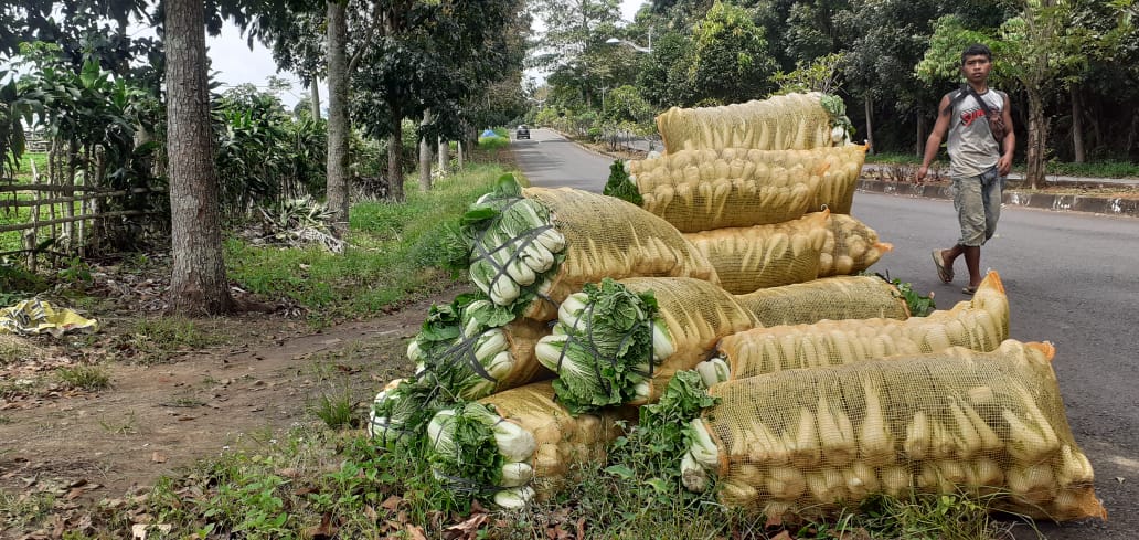 Sayur