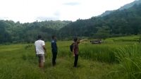 IMG_20220613_185418