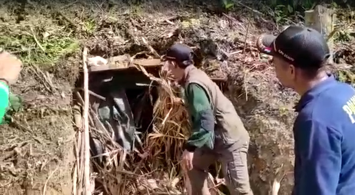 Tambang4