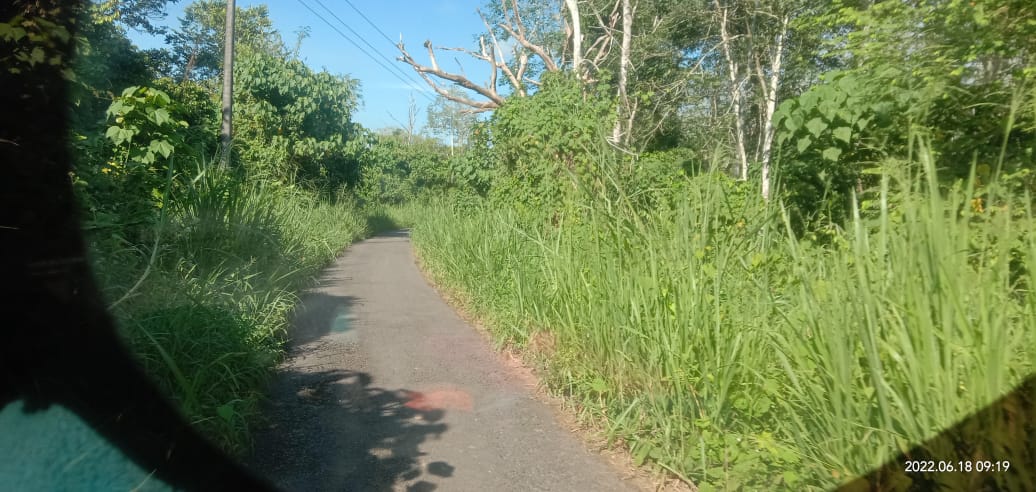 IMG-20220712-WA0029