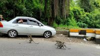 IMG_20220712_193202