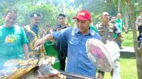 IMG-20220929-WA0079