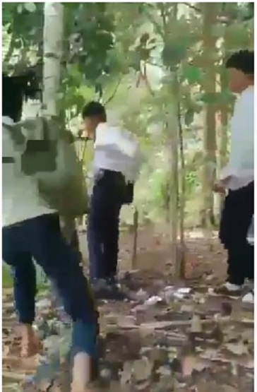 Perundungan