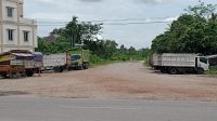 IMG-20221026-WA0025