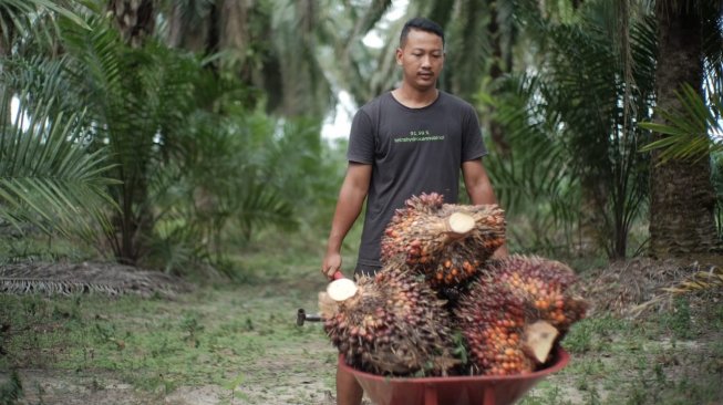 29228-petani-kelapa-sawit (1)
