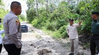 IMG-20221102-WA0055