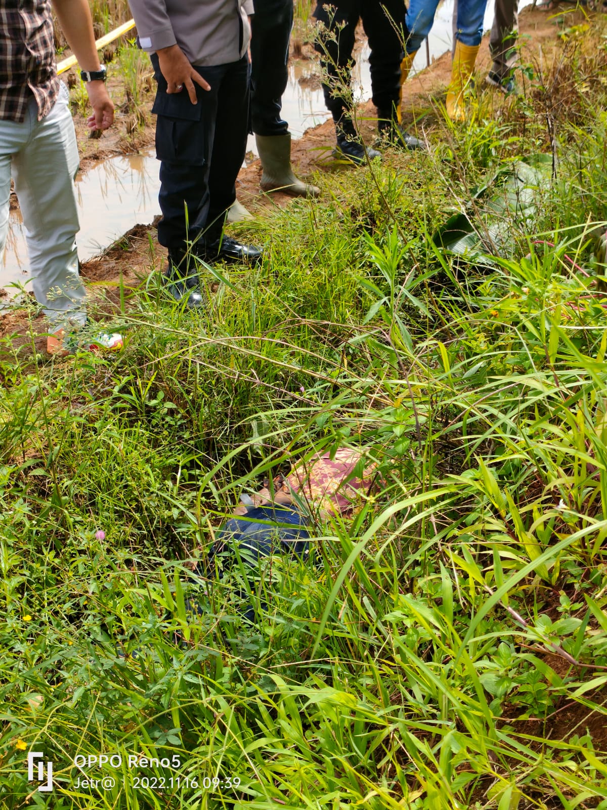 IMG-20221116-WA0041