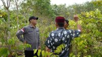 IMG-20230128-WA0053