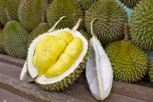 ini-manfaat-durian-bagi-kesehatan-tubuh-0-alodokter