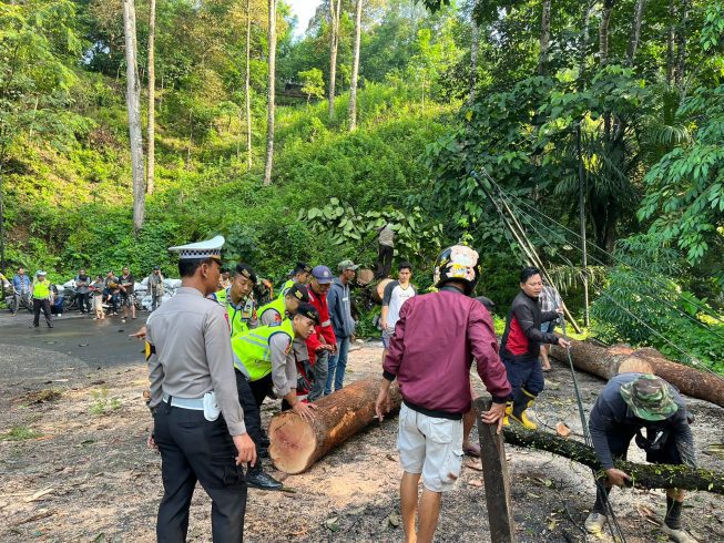 Kerjasama Polisi dan Masyarakat Atasi Pohon Tumbang di Jalan Lintas Sumatera Tengah