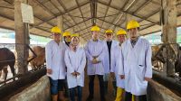 Arie Triyono (Paling Kiri) di Lokasi Peternakan Arie Triyono (Paling Kiri) di Lokasi Peternakan