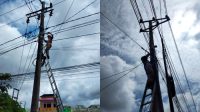 PLN