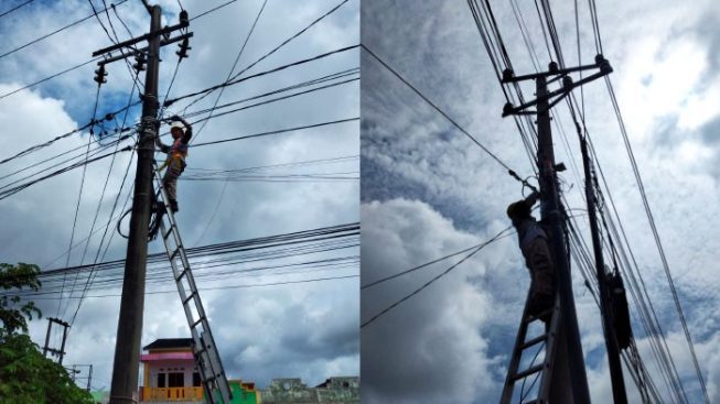 PLN