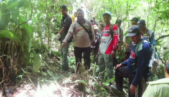 Harimau