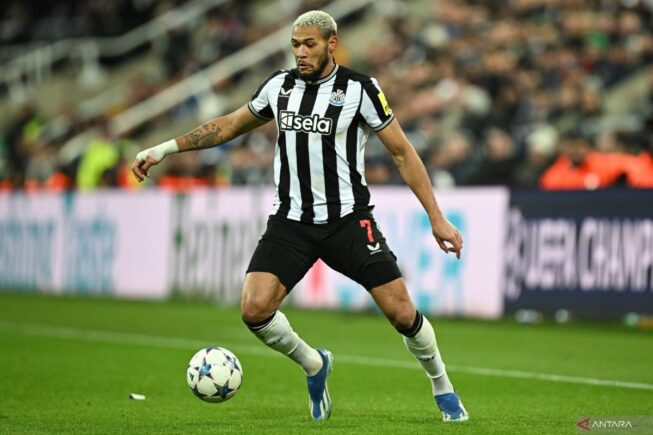 Newcastle United's Brazilian striker #07 Joelinton controls the ball during the UEFA Champions League Group F football match between Newcastle United and AC Milan at St James' Park in Newcastle-upon-Tyne, north east England on December 13, 2023. (Photo by Paul ELLIS / AFP) (AFP/PAUL ELLIS) Newcastle United's Brazilian striker #07 Joelinton controls the ball during the UEFA Champions League Group F football match between Newcastle United and AC Milan at St James' Park in Newcastle-upon-Tyne, north east England on December 13, 2023. (Photo by Paul ELLIS / AFP) (AFP/PAUL ELLIS)