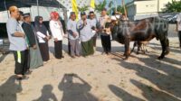 Pejabat Walikota Pangkalpinang Lusje Anneke Serahkan Bantuan Hewan Kurban di Masjid Kubah Timah pada Idul Adha 1445 H