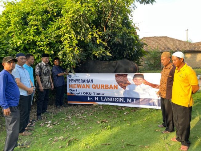 WhatsApp Image 2024-07-19 at 18.47.11