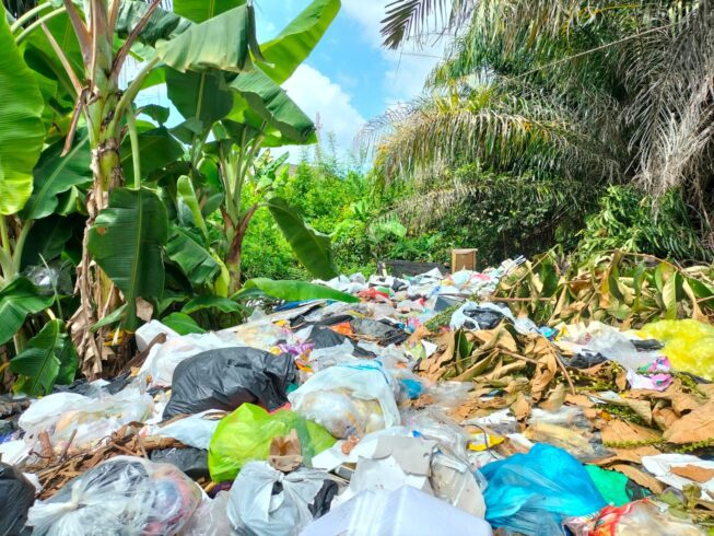Warga Palembang Masih Gemar Buang Sampah Sembarang Tumbuhkan 186 Titik TPS Liar Warga Palembang Masih Gemar Buang Sampah Sembarang Tumbuhkan 186 Titik TPS Liar