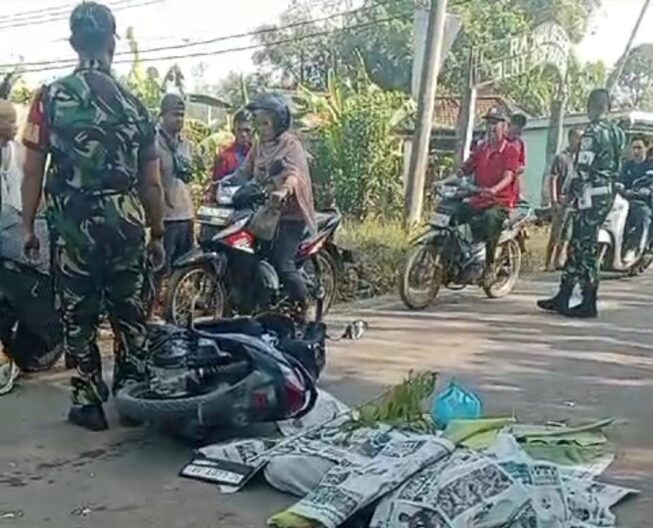 WhatsApp Image 2024-08-31 at 13.19.59