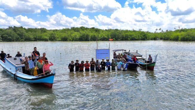 MANGROVE EIGER DI BELITUNG 01