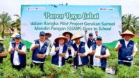 Panen Cabai di SMK Negeri 1 Gelumbang, Pj Gubernur Sumsel Dorong Kemandirian Pangan Melalui GSMP Panen Cabai di SMK Negeri 1 Gelumbang, Pj Gubernur Sumsel Dorong Kemandirian Pangan Melalui GSMP