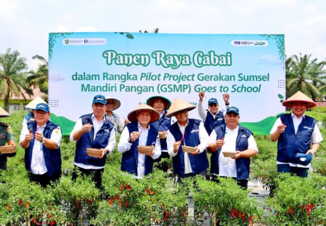 Panen Cabai di SMK Negeri 1 Gelumbang, Pj Gubernur Sumsel Dorong Kemandirian Pangan Melalui GSMP