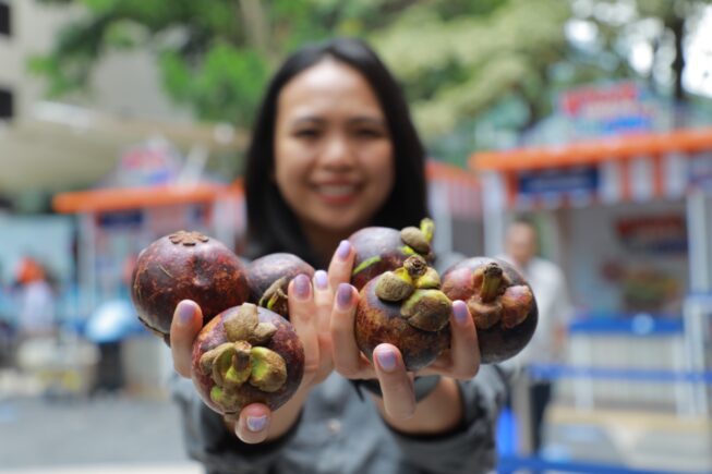 BRI Dukung Klaster Manggis Bhuana Sari Bali, Raih Omzet Besar dan Pasar Nasional
