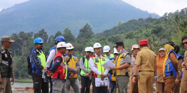 Tinjau Proyek
