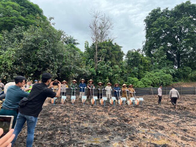 Penanaman Jagung Serentak 5
