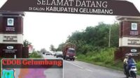 IMG-20250218-WA0042